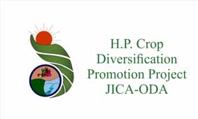 jim corbett corporate outing tour package-january