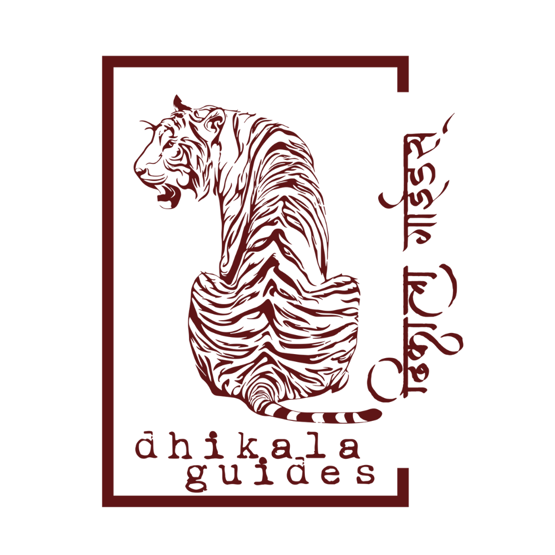 tiger groove resort official website